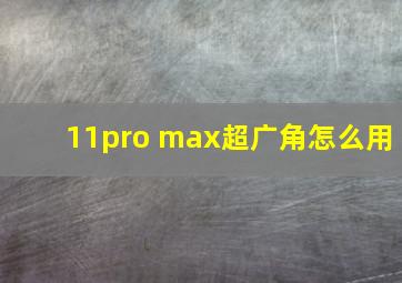 11pro max超广角怎么用